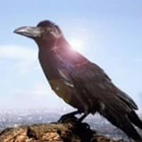 Amazon.co.jp: 悪魔のささやき~そして、心に火を灯す旅~[初回