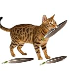 GHOSTCAT 猫じゃらし 風車 猫のおもちゃ ネコオモチャ ねこじゃらし 天然羽 頑丈 釣竿 ワイヤー 木製のハンドル 猫玩具 一人遊び