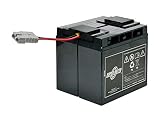 サイクルバッテリー/APC RBC139J-S(RBC139J互換) SMT1500J用バッテリーキット 使用済みバッテリーキット回収付き