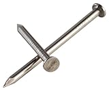 Simpson Strong Tie S10CN1 10d Smooth Shank Common Nails 3-Inch 9 Gauge 304 1-Pound Stainless Steel b