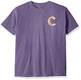NCAA Clemson Tigers状態野球レース半袖Tシャツ、Xラージ、グレープ