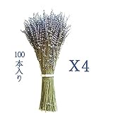 DC ドライフラワー ラベンダー 花束 ライラック 枯れないお花 天然素材 飾り物 撮影 小道具 部屋飾り 誕生日 お祝い 内祝い ギフト バーブル (450本入り)