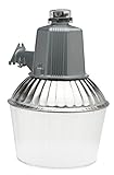Designers Edge L1741 High Pressure Sodium Security Light Fixture, 150-Watt [並行輸入品]