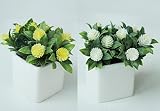 可憐でかわいい光触媒グリーン（造花）ポムミニ2色セット