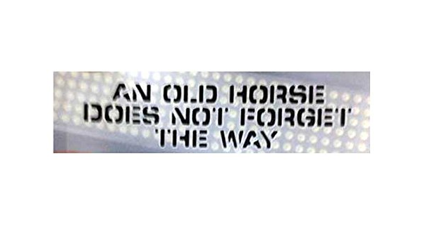 Amazon Co Jp Pst 026 老いたる馬は道を忘れず コトワザ転写ステッカー Proverb Sticker バイク 車 自転車に 車 バイク