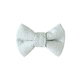 10mois 蝶ネクタイ ライトブルー 18151026