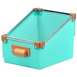 FLEXX CD・DVDケース フレックスプレミアムメディアスタンド (ナチュラルライトブルー)