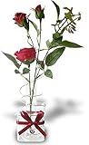 Silk Red Roses in a Vase Christmas Valentine Mothers Day Gift [並行輸入品]