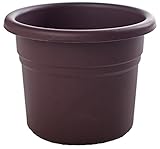 Bloem 10インチ花束プランターエキゾチカPP1056、12パック