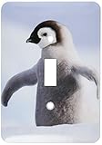 3Dローズ 鳥 ‐ 赤ちゃんペンギン - 照明スイッチカバー - シングル トグルスイッチ - lsp_4181_1 (並行輸入)