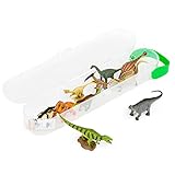 ミニダイナソーBOX2 A1102