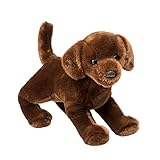 Cocoa the Plush Chocolate Lab Puppy by Douglas