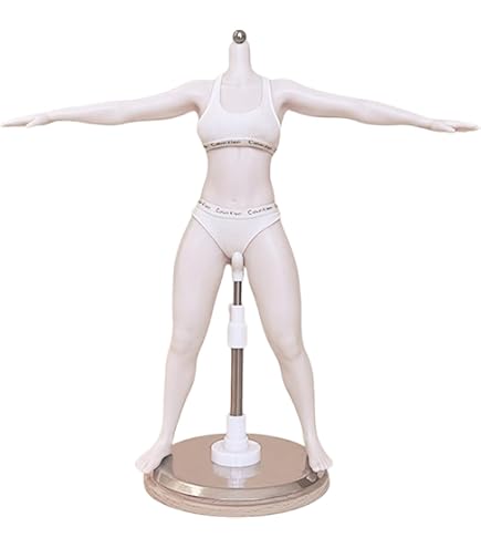 Amazon | [Tbmodel ] VERYCOOL 1/6フィギュア Mサイズバスト 素体 超