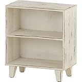 オープンラック 木製 2段 幅24.5cm×奥行14cm×高さ28cm AKB-239WH ホワイト (白) 【完成品】 生活用品 インテリア 雑貨 インテリア 家具 収納家具 オープンシェルフ オープンラック [並行輸入品]