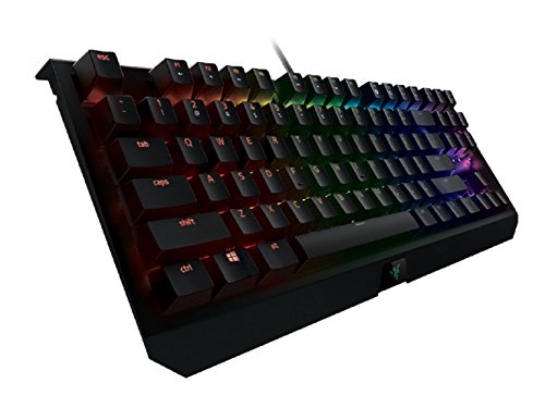 Razer(レイザー) / BLACKWIDOW X TOURNAMENT EDITION CHROMAの画像1