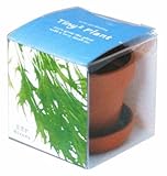 タイニィタイニィプラント ミズナ