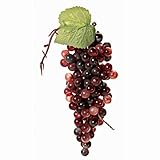 東京堂  バーミィグレープ WINE FV002176-014