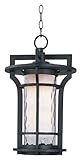 Maxim Lighting 30488WGBO One Light Water Glass Hanging Lantern, Black Oxide [並行輸入品]