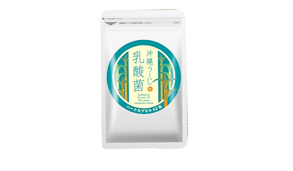 Amazon 沖縄うーじ 乳酸菌 安心通販 乳酸菌 Amazon 沖縄うーじ 乳酸菌 安心通販 乳酸菌