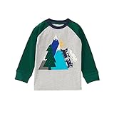 Gymboree Baby Toddler Boys' Mountain Trail Graphic Tee Classic Grey Heather 12-18 [並行輸入品]