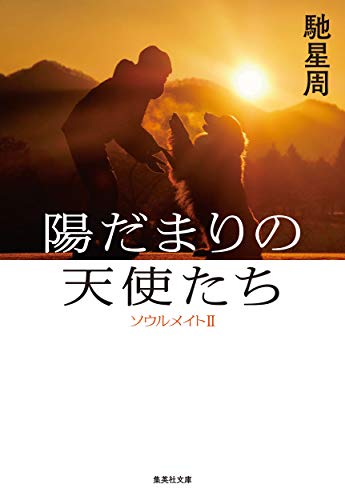 馳星周:陽だまりの天使たち ソウルメイトII (集英社文庫)