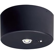 Amazon | パナソニック(Panasonic) 天井埋込型 LED 昼白色 非常用照明