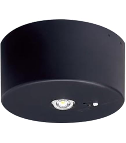 Amazon | パナソニック(Panasonic) 天井埋込型 LED 昼白色 非常用照明