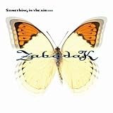 Something In The Air