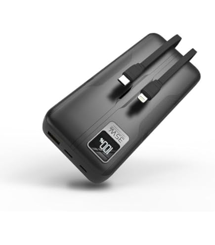 持ち充 41e5VM4gbiL._AC_UL495_SR435,