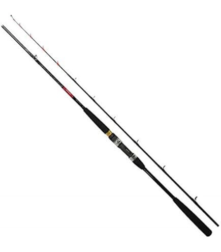 Amazon | ダイワ(DAIWA) 船竿 アナリスター赤ムツ 205 釣り竿 | ダイワ