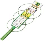 コーベック 花支柱5号 約54cm