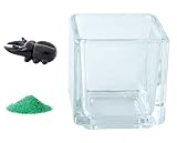 花市場直送便 ミニチュアガラス クワガタ & カラーサンド グリーン & 植え込み用グラス ニューブロックS