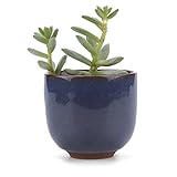 T4U 6.5CM 陶器ミ二植木鉢 高さ増加！ 氷裂紫砂シリーズ 多肉植物 サボテン鉢 フラワーポット プランター容器 ブルー