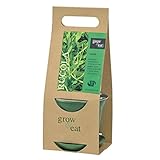 花ごころ grow&eat栽培セット ルッコラ