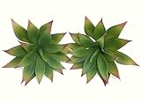 TomYomKung 2 x 6.5" Agave Cacti, Artificial Plants