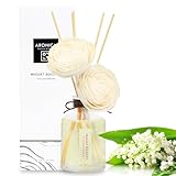 Aronica プレミアム パッケージ ツイン ソラ フラワーとリードディフューザー 5.4オンス/160 ml