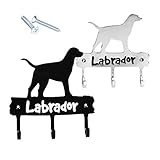 Labradorメタル壁マウントキーハンガーバッグホルダーフックホームバスルームキッチンバーンD ¨ ¦ cor (シルバー)
