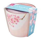 植木鉢と種がセットになった<br>盆栽栽培セット（桜）