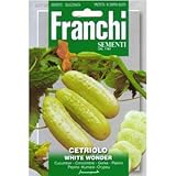 [ 西洋野菜 種 ] ミニキュウリ ホワイト ワンダー
