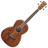 Ibanez アイバニーズ エレアコベース パーラー オープン・ポア・ナチュラル PNB14E-OPN