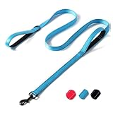 PetGround 犬 リード ダブルハンドル 小型犬 中型犬 大型犬 サブグリップ付き 反射 しつけ 訓練リード ショート 柔らかい クッション 丈夫 可愛い おしゃれ (ブルー 120cm)