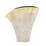 Deco 79 50626 Ceramic Mop Lacquer Vase, 16' x 17' [並行輸入品]