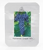 1プロフェッショナルパック、100粒/パック、フロントナックブルーグレープシードハーディ植物苗グッド病害抵抗＆公差＃NF457