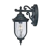 Savoy House 5-60320-186 Outdoor Sconce with Clear Hammered Shades, Black with Gold Finish [並行輸入品]