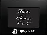 4 x 6 Brushed Metal画像frame-i Love My Pit bull-black