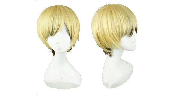 Amazon Webessence コスプレウィッグ 僕は友達が少ない 羽瀬川 小鷹 はせがわ こだか コスプレ ウィッグ オリジナル ブレスレット 付き コスプレ 仮装 通販