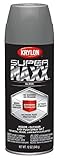 Krylon K08966000 SUPERMAXX Spray Paint, Gloss Smoke Gray [並行輸入品]