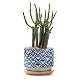 T4U 7.5CM 陶器鉢 和風シリーズNo.3 夏の波 多肉植物 サボテン鉢 フラワーポット プランター容器 バンブートレイ付き