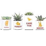 ノーブランド品 4個　多肉植物　緑色植物　棚や収納ボックス　盆栽　植木鉢　置物　プレゼント　樹脂製