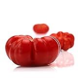 Rosepoem 50個庭の種子レッドトマトBeefsteak Brandywine D2845Aオーガニックホホバ種子